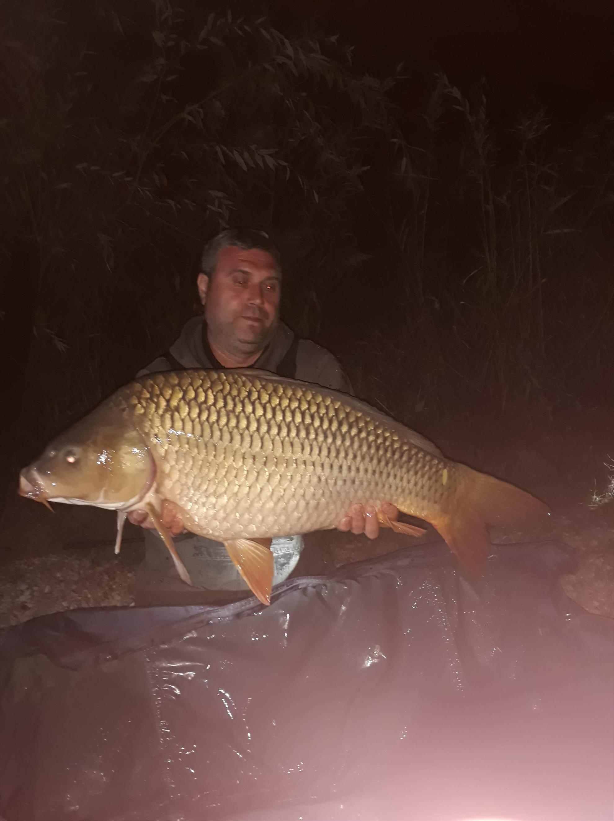 Varlaam 2018 oct - received1857908504322992.jpeg